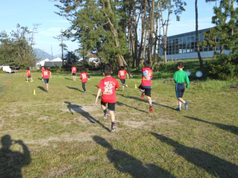 Team Efforts